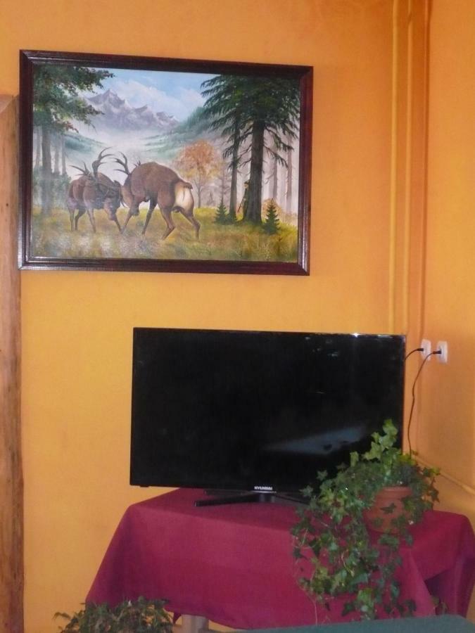 Pokoje Goscinne W Gorach Koscielisko Luaran gambar