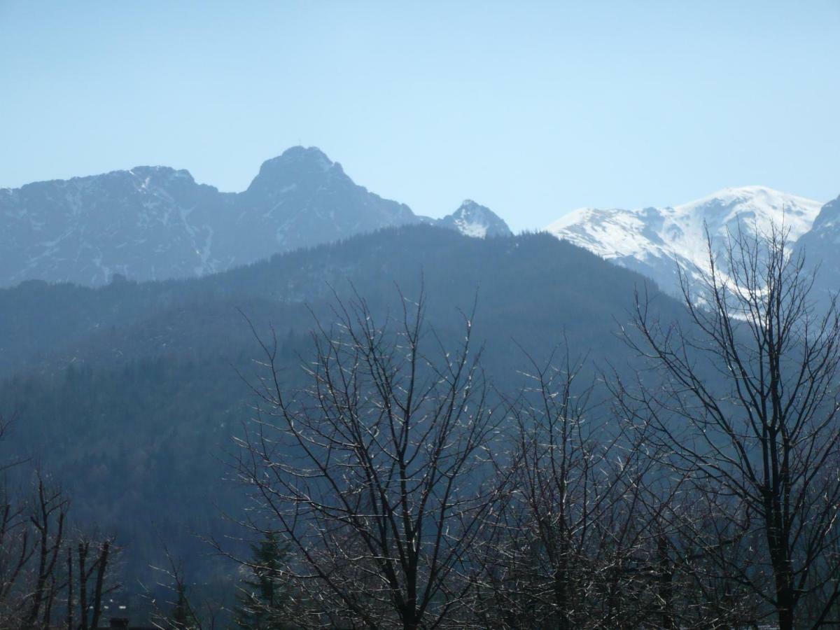 Pokoje Goscinne W Gorach Koscielisko Luaran gambar